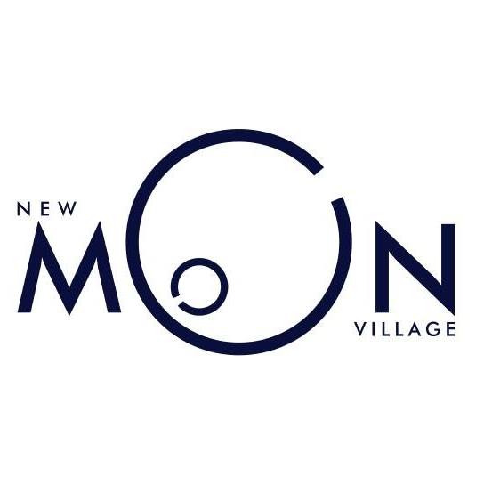 international moon village